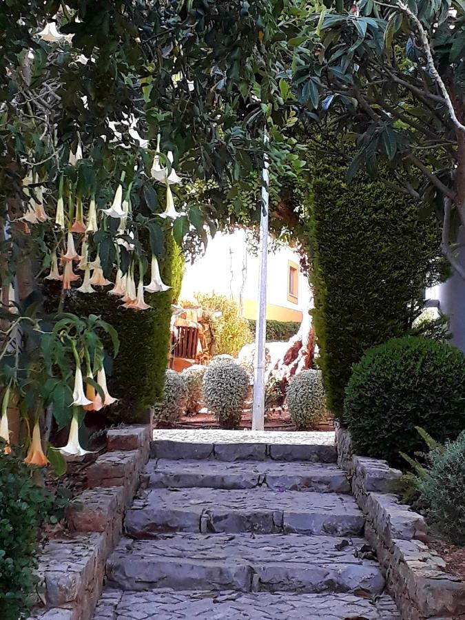 Aparte Wohnung Mit Sudterrasse Am Park Tavira Bagian luar foto